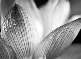 虚拟号码外呼软件