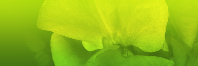 短信轰炸机网页